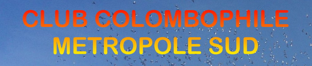 CLUB COLOMBOPHILE METROPOLE SUD